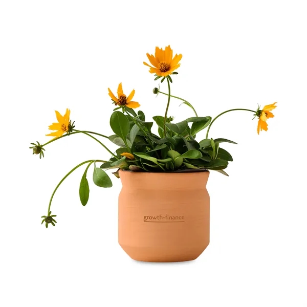 Custom Modern Sprout Tiny Terracotta Thank You