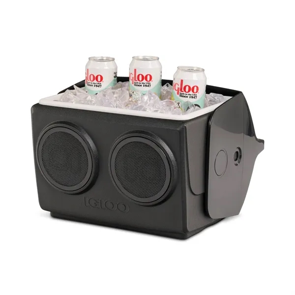 Igloo® Kooltunes® 14 Qt Cooler