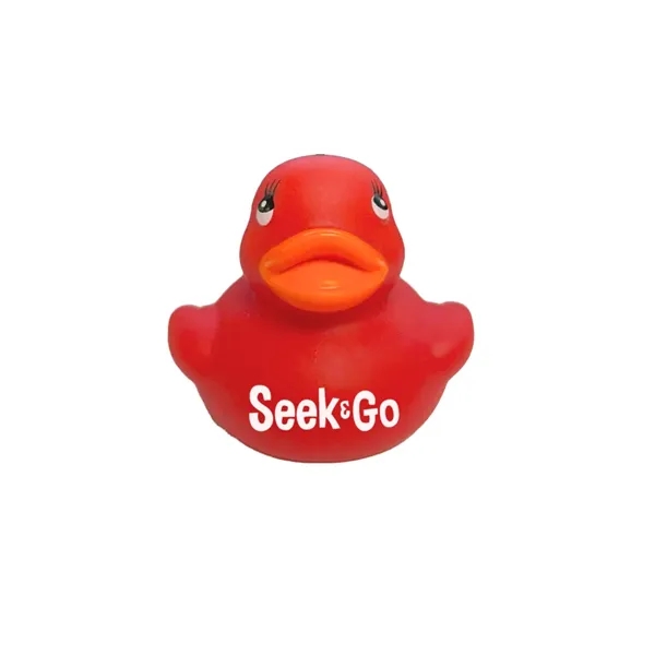 Custom Colorful Duck
