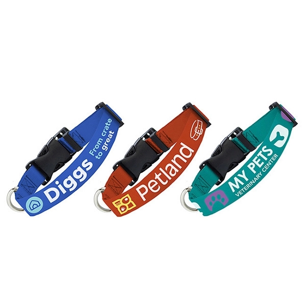 Pantone Matched Collar - Pantone Matched Collar - Image 1 of 6