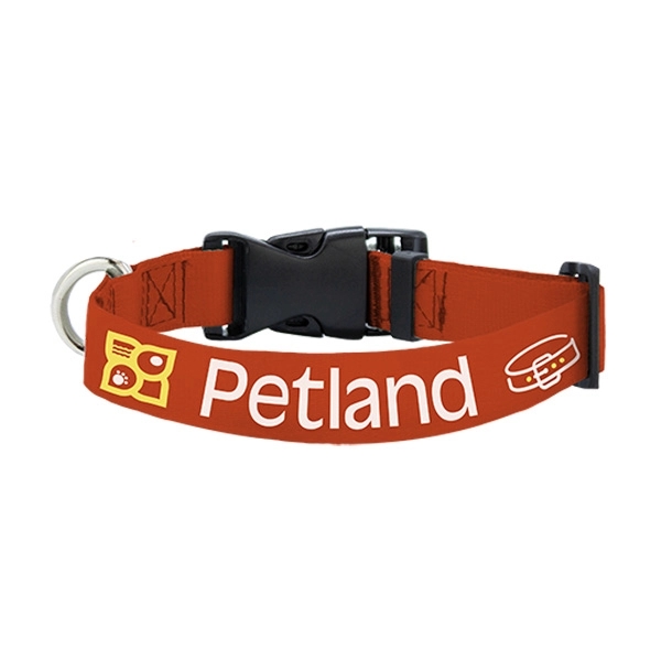 Pantone Matched Collar - Pantone Matched Collar - Image 5 of 6