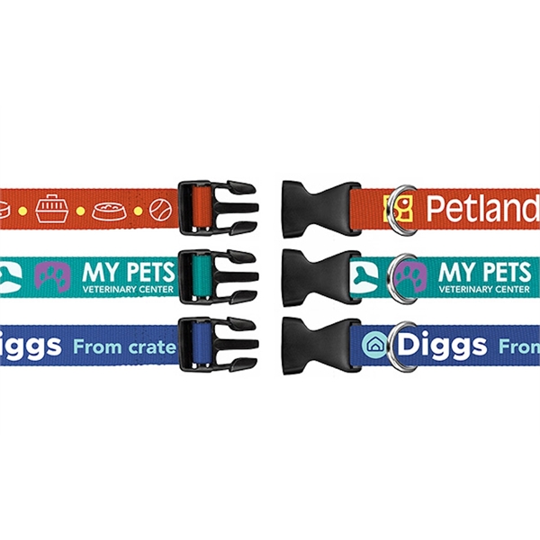 Pantone Matched Collar - Pantone Matched Collar - Image 2 of 6