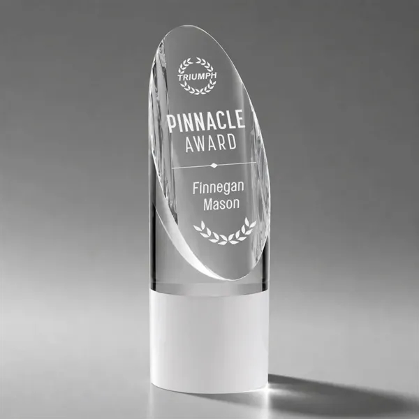 Faccini Award