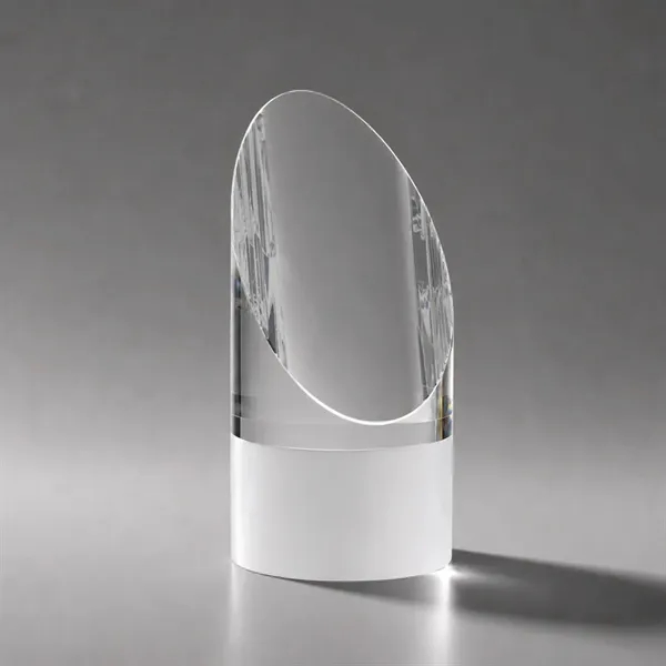 Faccini Award