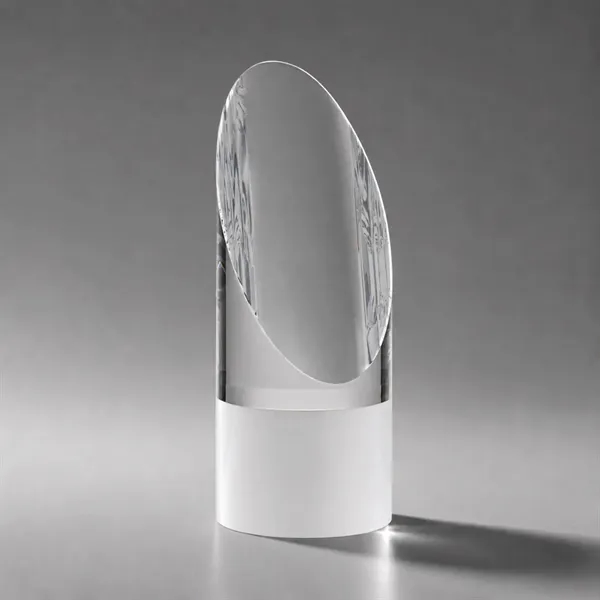 Faccini Award
