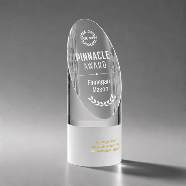 Faccini Award