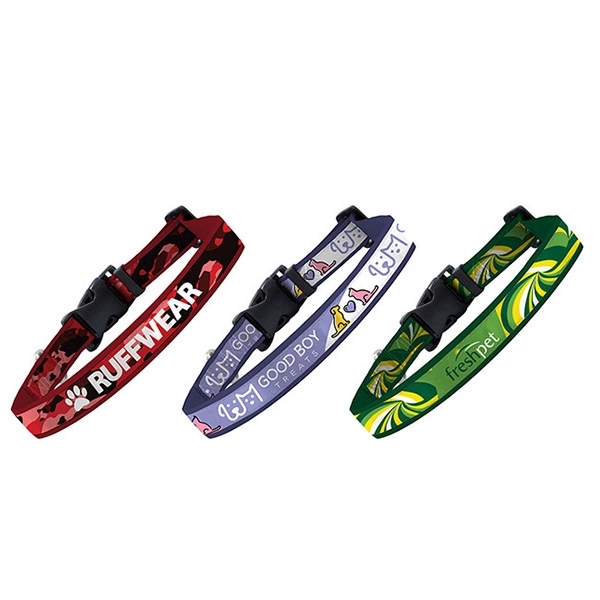 Full-Color Collar - Full-Color Collar - Image 1 of 5