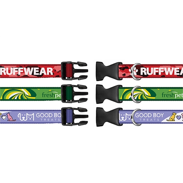 Full-Color Collar - Full-Color Collar - Image 2 of 5