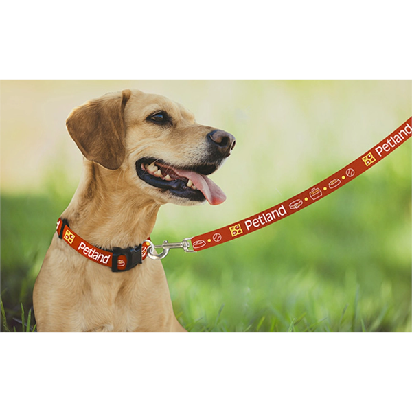 Pantone Matched Leash - Pantone Matched Leash - Image 0 of 6