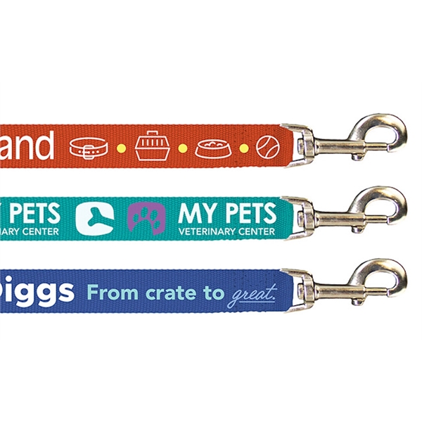 Pantone Matched Leash - Pantone Matched Leash - Image 2 of 6