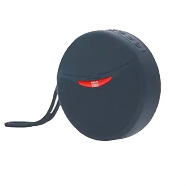 2 in 1 Bluetooth Speaker with Wireless Earbuds