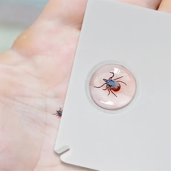 Tick Remover Card