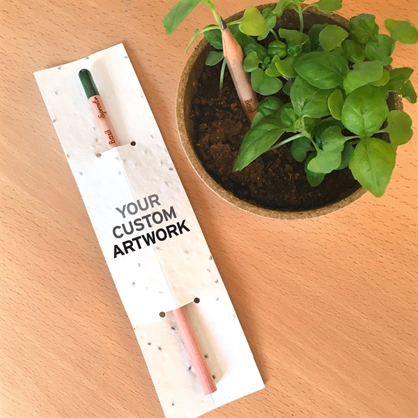Sprout Pencil With Single-Sided Basil Seed Paper - Sprout Pencil With Single-Sided Basil Seed Paper - Image 0 of 2
