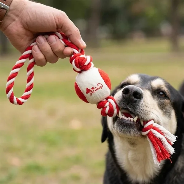 Pet Tennis Ball on Rope
