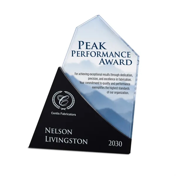 Sweeping Success Acrylic Award