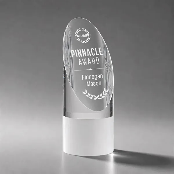 Faccini Award