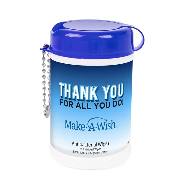 Antibacterial Wet Wipe Canister