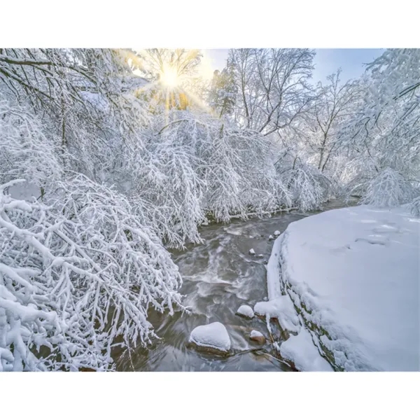 Triumph® Calendars Minnesota Calendar