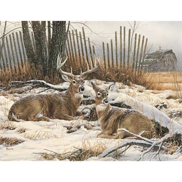 Triumph® Calendars Wildlife Art Calendar