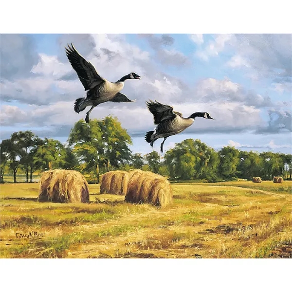 Triumph® Calendars Wildlife Art Calendar
