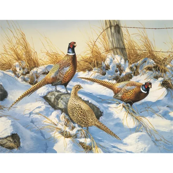 Triumph® Calendars Wildlife Art Calendar