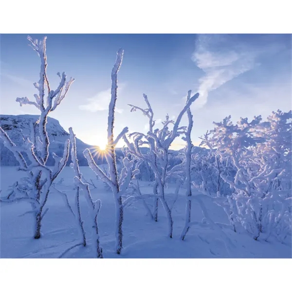 Triumph® Calendars Sunrise Sunset Calendar