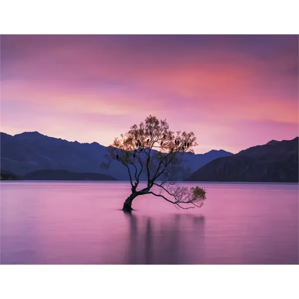Triumph® Calendars Sunrise Sunset Calendar