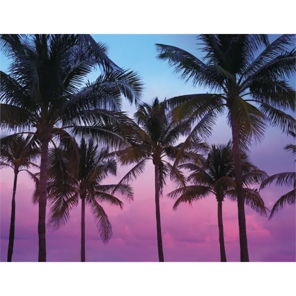 Triumph® Calendars Sunrise Sunset Calendar