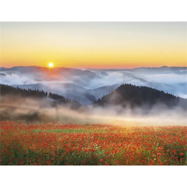 Triumph® Calendars Sunrise Sunset Calendar