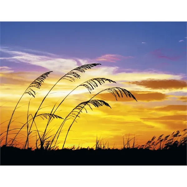 Triumph® Calendars Sunrise Sunset Calendar