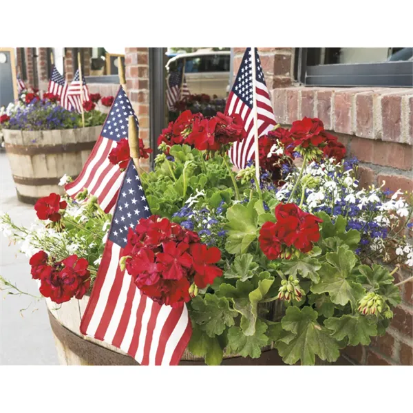 Triumph® Calendars I Love America Calendar