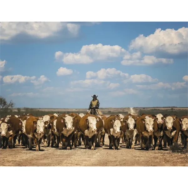 Triumph® Calendars Visions of the West Calendar