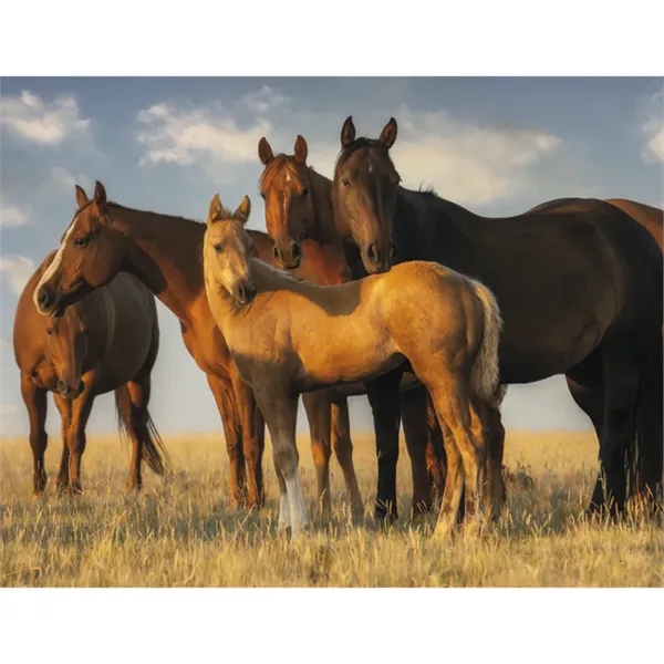 Triumph® Calendars Visions of the West Calendar