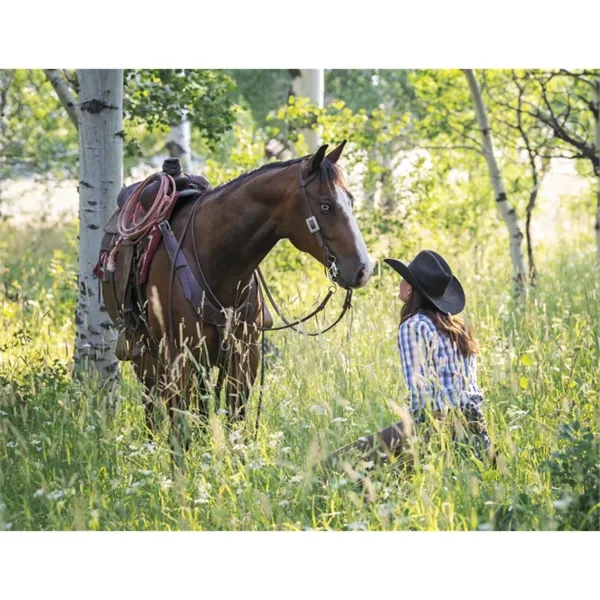 Triumph® Calendars Visions of the West Calendar