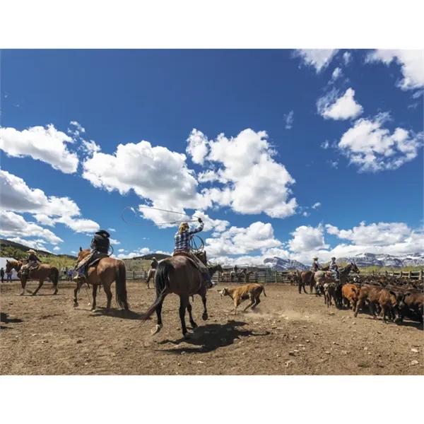 Triumph® Calendars Visions of the West Calendar