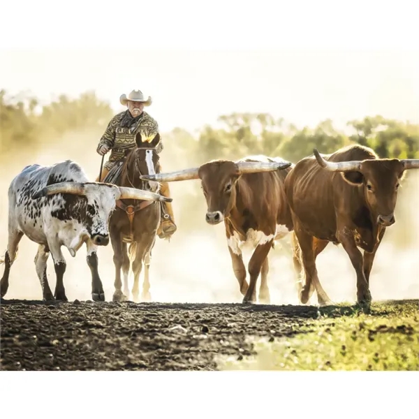 Triumph® Calendars Visions of the West Calendar