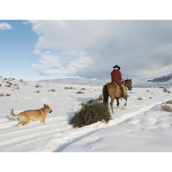 Triumph® Calendars Visions of the West Calendar