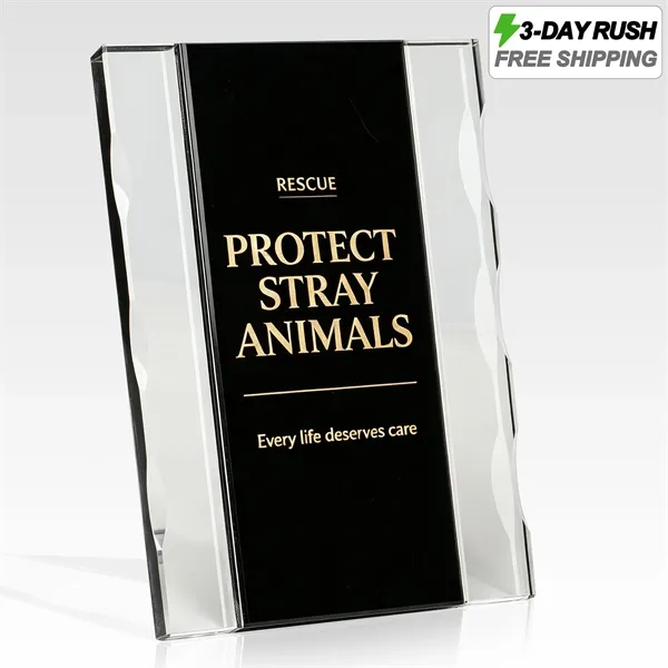3 Day Rush Two Tone Clear Crystal Trophy Award W/ Stand