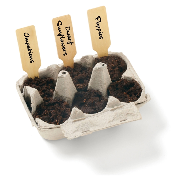 Wildflower Seed Garden Grow Kit - Wildflower Seed Garden Grow Kit - Image 1 of 4