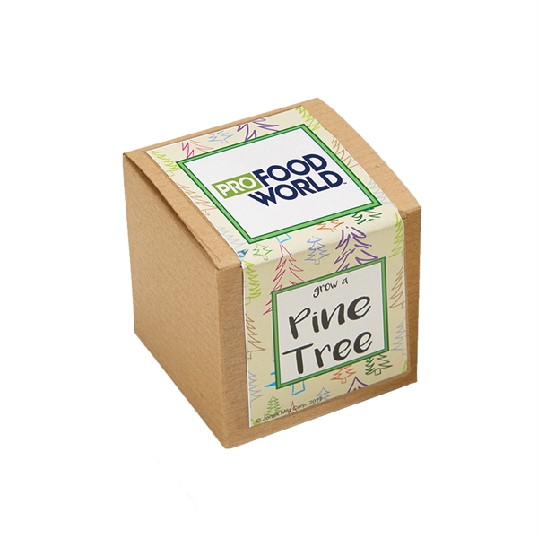 Pine Tree Seed Growables Planter in Kraft Gift Box - Pine Tree Seed Growables Planter in Kraft Gift Box - Image 3 of 3