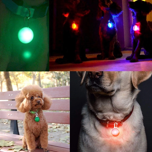 Pet Collar LED Light - Pet Collar LED Light - Image 1 of 4