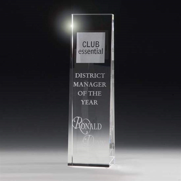 McKinley Tower Award
