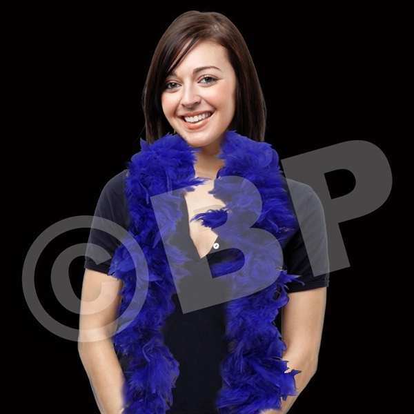 Adult Size Feather Boa - Adult Size Feather Boa - Image 7 of 11