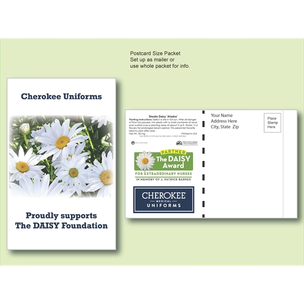 Shasta Daisy Flower Seed Packet Postcard Mailer 4" x 6.5" - Shasta Daisy Flower Seed Packet Postcard Mailer 4" x 6.5" - Image 0 of 0