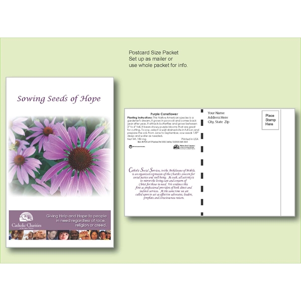 Purple Coneflower Seed Packet Postcard Mailer Size 4" x 6.5" - Purple Coneflower Seed Packet Postcard Mailer Size 4" x 6.5" - Image 0 of 0