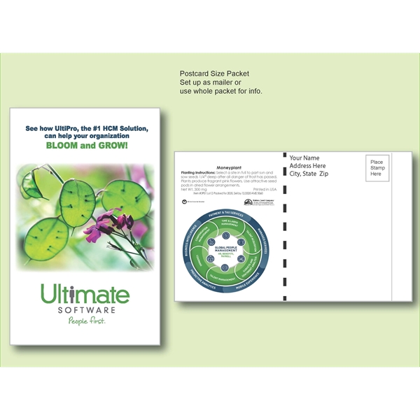 Moneyplant Seed Packet - Postcard Mailer Size 4" x 6.5" - Moneyplant Seed Packet - Postcard Mailer Size 4" x 6.5" - Image 0 of 0