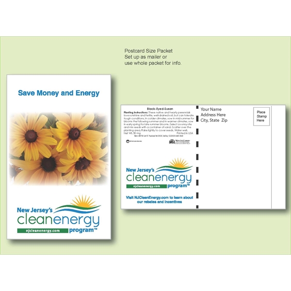 Black Eyed Susan Flower Seed Packet-Postcard Mailer 4"x6.5" - Black Eyed Susan Flower Seed Packet-Postcard Mailer 4"x6.5" - Image 0 of 0
