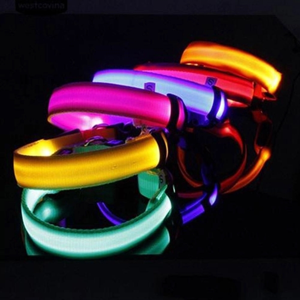 LED Pet Cat Dog Collar - LED Pet Cat Dog Collar - Image 1 of 5