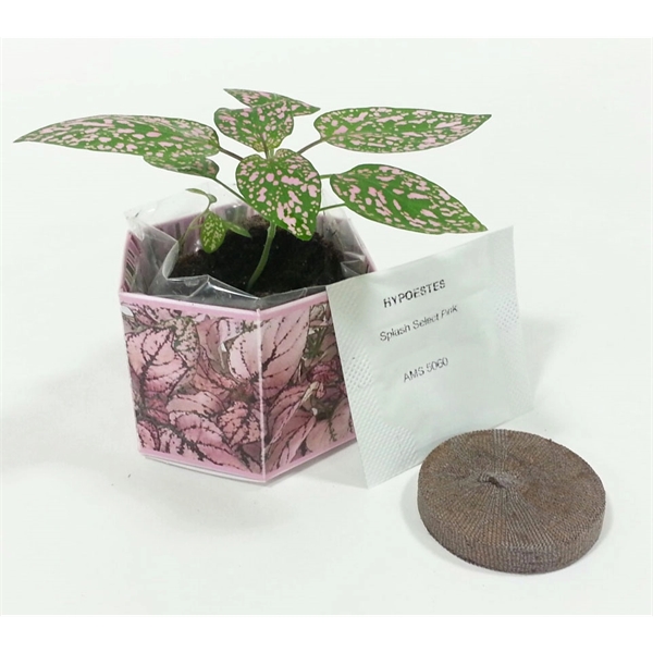 SeedGems Paper Planter w/custom graphics-Biodegradable kit - SeedGems Paper Planter w/custom graphics-Biodegradable kit - Image 3 of 3