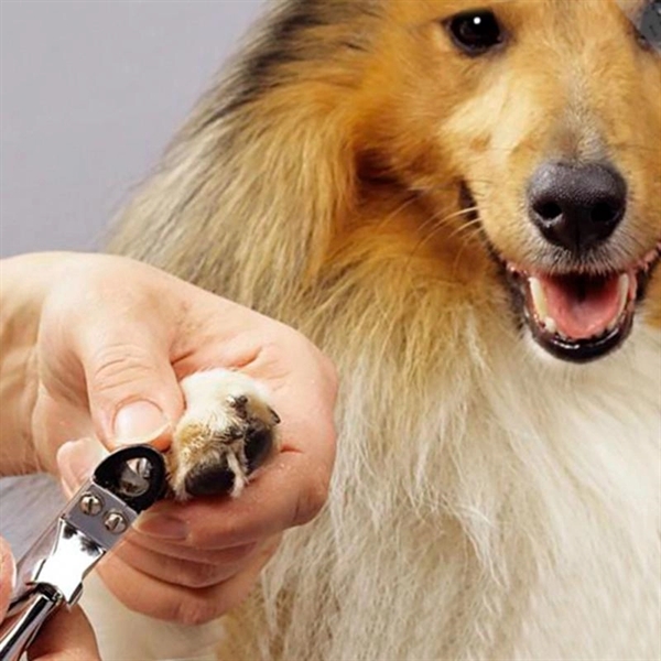 Dog Cat Puppy Pet Nail Clipper - Dog Cat Puppy Pet Nail Clipper - Image 5 of 5
